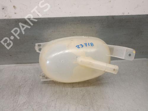 Expansion tank RENAULT EXPRESS Box Body/MPV 1.5 Blue dCi 75 (F6AA) | BP29480023C120