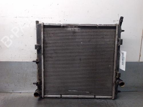 Used Water radiator Water radiator PEUGEOT 207 (WA_, WC_) 1.4 (75 hp) 34037909 34037909