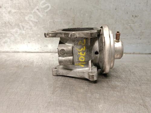 EGR-Ventil SKODA OCTAVIA II (1Z3) 1.9 TDI (105 hp) 29500725