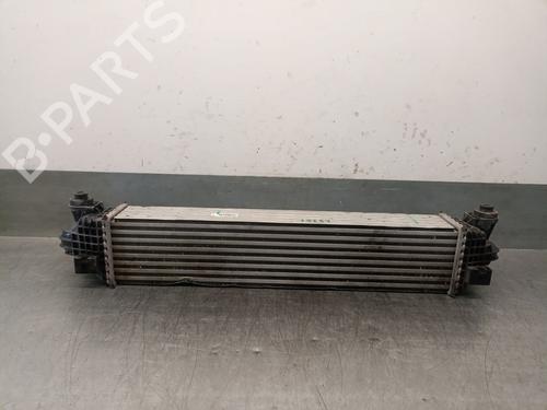 Intercooler MG MG HS (AS23) 1.5 T (SAS23) | BP29807024M30 