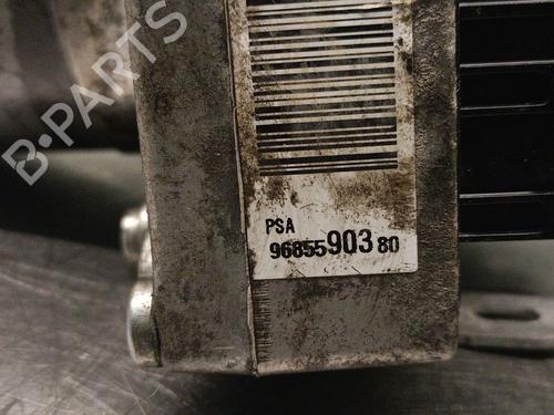 Styring servopumpe CITROËN C4 I (LC_)  | BP31044669M99 