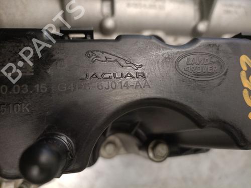 Cylinder head JAGUAR XE (X760) 2.0 D | BP21838842M5 