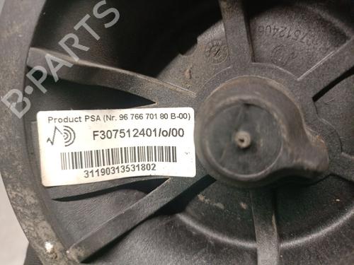 Right rear shock absorber CITROËN C4 Picasso I MPV (UD_) 2.0 HDi 138 | BP26328016M19 