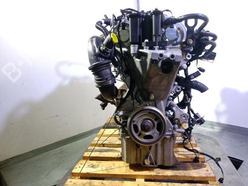 Motor für FORD FOCUS IV (HN) 1.0 EcoBoost mHEV (155 hp) 29308972