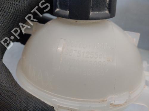 Expansion tank PEUGEOT 308 II (LB_, LP_, LW_, LH_, L3_) 1.2 THP 130 | BP17434479C120 