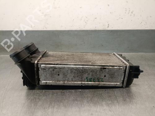 Intercooler PEUGEOT 3008 I MPV (0U_) 1.6 HDi | BP29764798M30