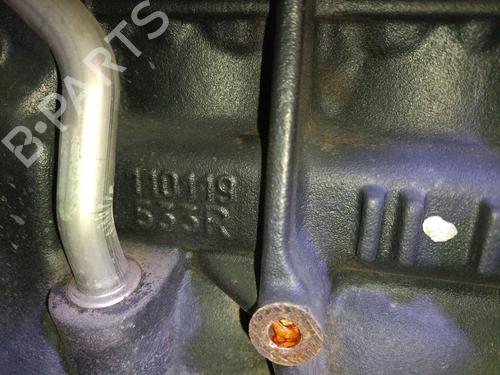 Engine NISSAN QASHQAI I (J10, NJ10) 1.6 dCi | BP30100778M1