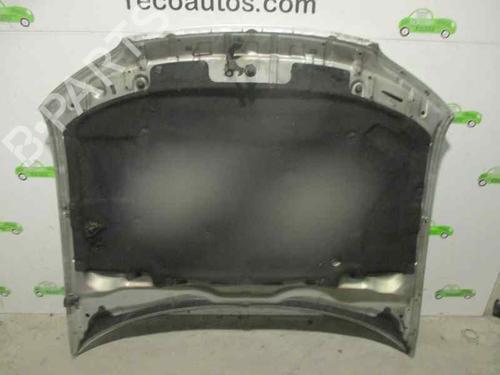 Hood OPEL OMEGA B (V94) 2.5 TD (F69, M69, P69) | BP4612659C1 