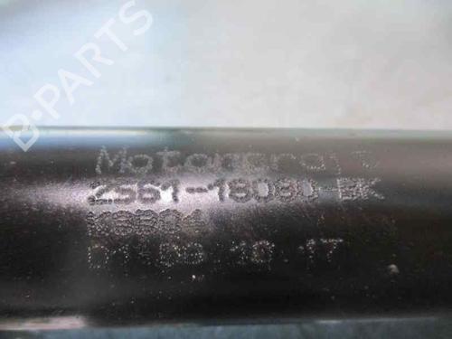 Left rear shock absorber FORD FIESTA V (JH_, JD_)  | BP4603800M18 