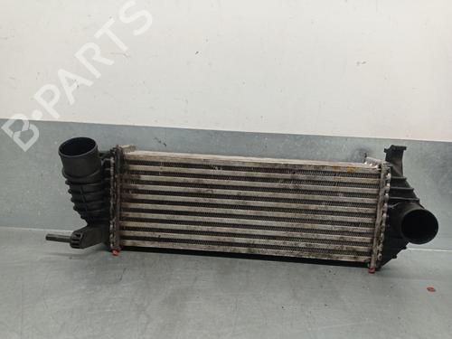 Used Intercooler RENAULT KANGOO / GRAND KANGOO II (KW0/1_) 1.5 dCi 85 (KW0K, KW0L, KW0B) (86 hp) 31623298