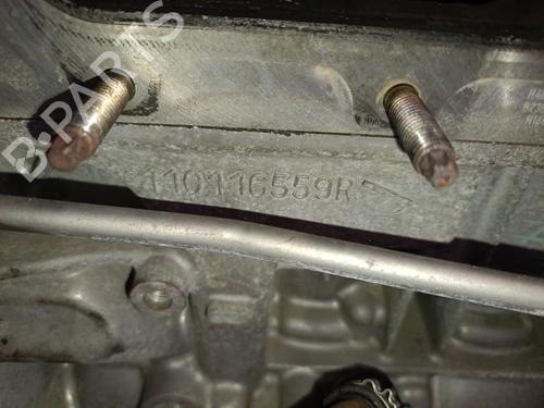 Engine RENAULT TWINGO III (BCM_, BCA_) 0.9 TCe 90 (BCM9, BCM2) | BP29625075M1 