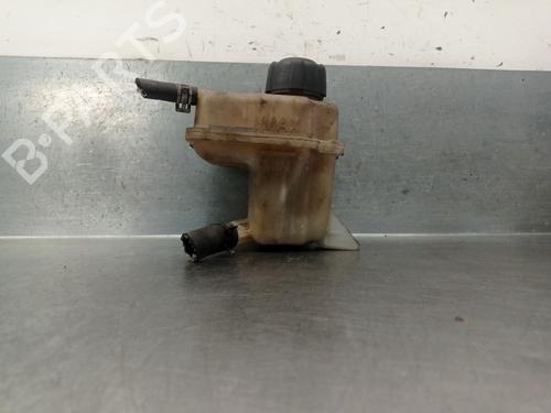 Used Expansion tank NISSAN QASHQAI / QASHQAI +2 I (J10, NJ10, JJ10E) 2.0 (141 hp) 26010228