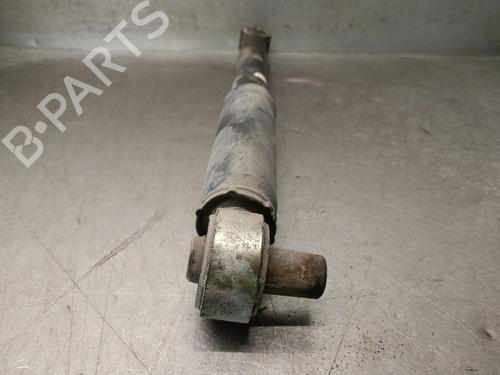 Right rear shock absorber MERCEDES-BENZ VITO Van (W447) 114 CDI 4x4 (447.601, 447.603, 447.605) | BP28807038M19 