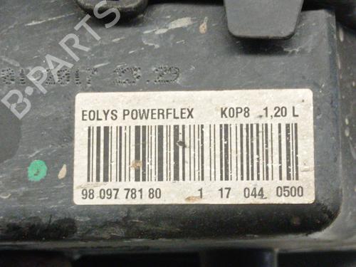 Fuel tank PEUGEOT 3008 II SUV (MC_, MR_, MJ_, M4_) 1.6 BlueHDi 120 | BP27548023C62 