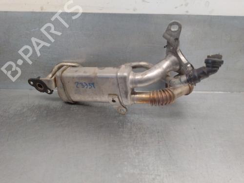 Egr RENAULT KANGOO Express (FW0/1_) 1.5 dCi 75 (FW07, FW10, FW04) | BP29632253M69 