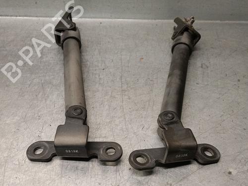 tailgate-lift-support-renault-koleos-i-hy_-2008-40081050 main image