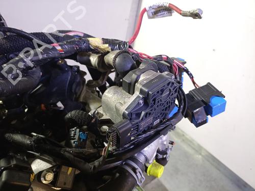 Motor RENAULT EXPRESS Box Body/MPV 1.5 Blue dCi 75 (F6AA) | BP29460621M1 