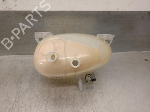 Expansion tank RENAULT TWINGO III (BCM_, BCA_) 0.9 TCe 90 (BCM9, BCM2) | BP29480022C120 