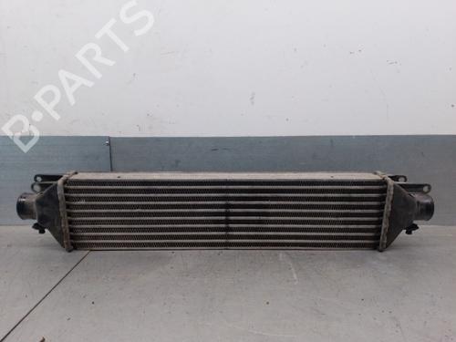 Used Intercooler FIAT LINEA (323_, 110_) 1.6 D Multijet (105 hp) 29605362