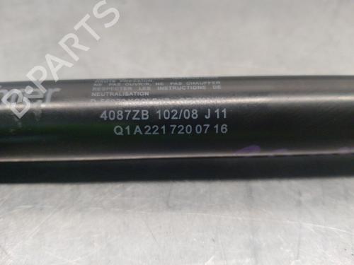 Tailgate lift support MERCEDES-BENZ S-CLASS (W221, V221) S 320 CDI 4-matic (221.080, 221.180) | BP18009352C138 