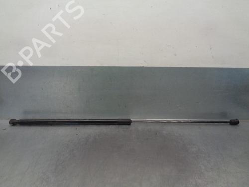 Hood lift support VW GOLF VII (5G1, BQ1, BE1, BE2) 1.5 TSI | BP18880315C139 