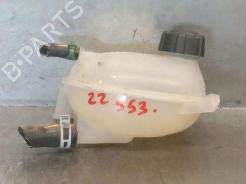 Used Expansion tank DACIA SANDERO II 1.0 SCe 75 (B8JC, B8JD, B8NC) (73 hp) 25032581