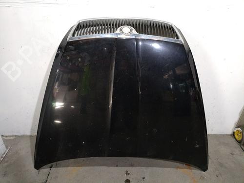 Used Hood SKODA OCTAVIA II (1Z3) 1.9 TDI (105 hp) 29405142
