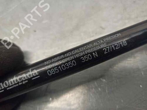 Tailgate lift support NISSAN QASHQAI I (J10, NJ10)  | BP20257087C138 