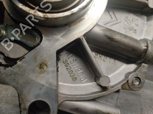 Vacuum pump JAGUAR XF I (X250) 3.0 D | BP21579095M80 