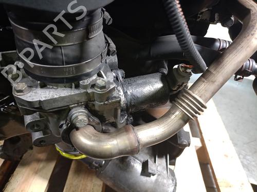 Motor RENAULT MASTER II Bus (JD) 2.8 dTI (JD0B, JD0F, JD1B, JD1F) | BP31038568M1