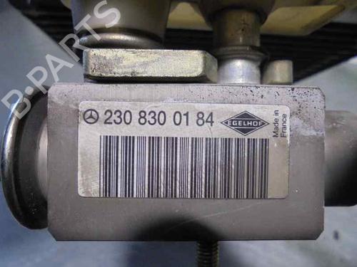 Air conditioning evaporator MERCEDES-BENZ S-CLASS (W220) S 320 CDI (220.025, 220.125) | BP11667318M109 