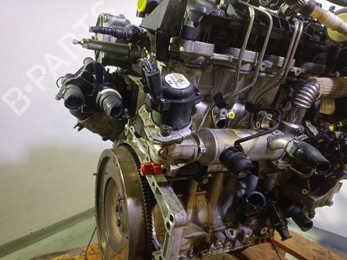 Engine SANTANA 300/350 1.6 HDi 4x4 | BP24846247M1