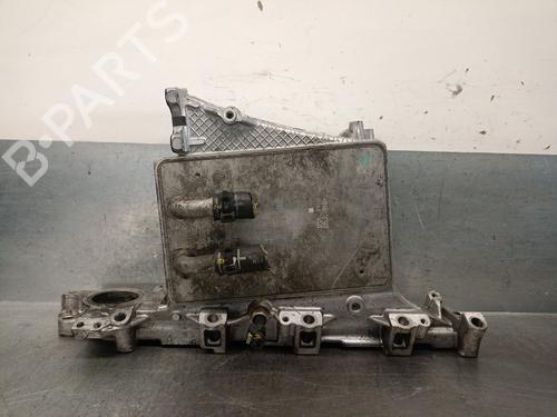 Manifold Indsugning SKODA RAPID (NH3, NK3, NK6) 1.6 TDI (115 hp) 27329385