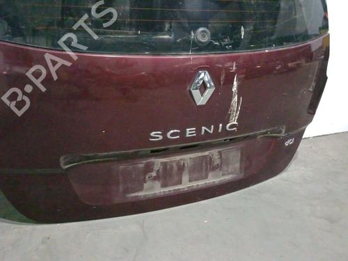 Tailgate RENAULT SCÉNIC III (JZ0/1_) 1.6 dCi (JZ00, JZ12) | BP29022512C6 