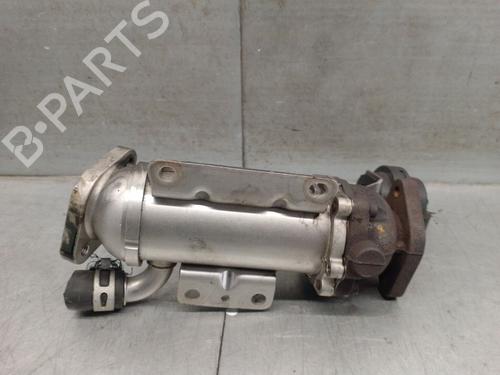 Egr RENAULT SCÉNIC II (JM0/1_) 2.0 dCi (JM1K) | BP27890205M69 
