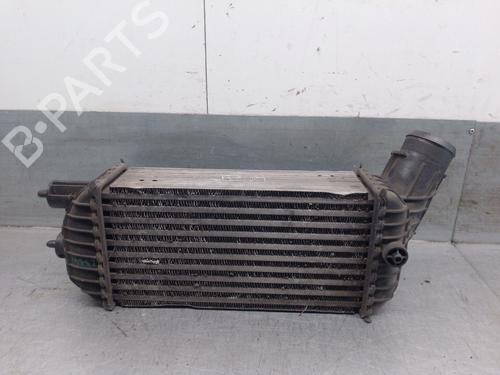 Intercooler CITROËN DS5 2.0 HDi 200 Hybrid4 All-wheel Drive | BP28129091M30 