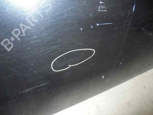 Right front door MINI MINI (R50, R53) Cooper | BP8253938C3 