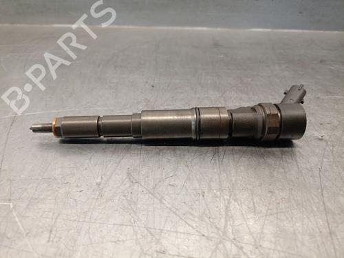 Injector BMW X5 (E53) 3.0 d | BP28480978M100
