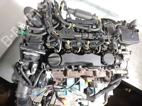 Engine CITROËN BERLINGO / BERLINGO FIRST MPV (MF_, GJK_, GFK_) 1.6 HDI 75 (MF9HW, GJ9HWC, GF9HWC, GN9HWC) | BP31213576M1 