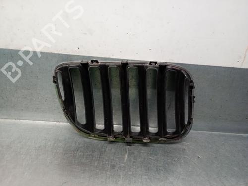 Grille BMW X5 (E53) 3.0 d | BP26494231C40 