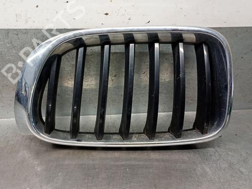 Used Grille BMW X3 (F25) xDrive 20 d (190 hp) 28305169
