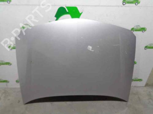 Used Hood RENAULT LAGUNA II (BG0/1_) 1.9 dCi (BG08, BG0G) (120 hp) 5038021