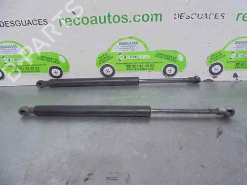 Hood lift support BMW 3 (E46) 320 d | BP20251560C139