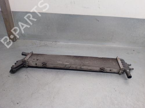 Water radiator DACIA LOGAN II 1.5 Blue dCi 95 (L8JL) | BP32483026M31 - Image 3