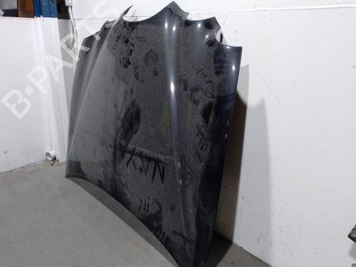 Hood JAGUAR S-TYPE II (X200) 2.7 D | BP12544781C1 