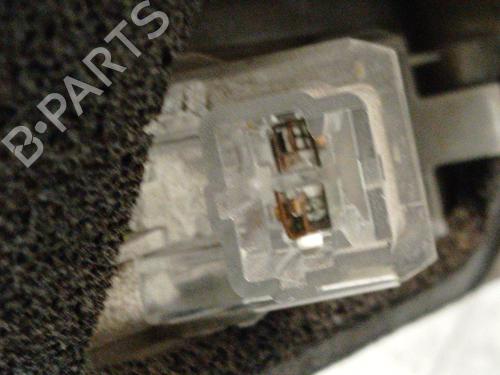 Tailgate handle RENAULT SCÉNIC III (JZ0/1_) 1.6 dCi (JZ00, JZ12) | BP29008051C132 
