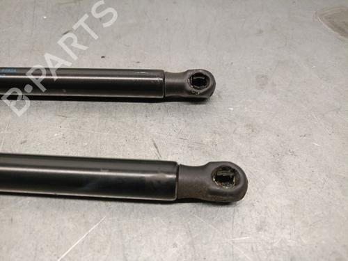 Tailgate lift support FORD FIESTA VI (CB1, CCN) 1.0 EcoBoost | BP21579239C138 