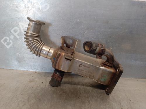 Used Egr RENAULT SCÉNIC II (JM0/1_) 1.9 dCi (JM0G, JM12, JM1G, JM2C) (120 hp) 15515983