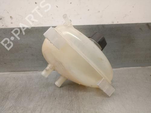 Expansion tank RENAULT TWINGO III (BCM_, BCA_) 0.9 TCe 90 (BCM9, BCM2) | BP29480022C120 