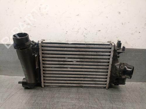 Used Intercooler DACIA SANDERO III 1.0 TCe 90 (91 hp) 29807020